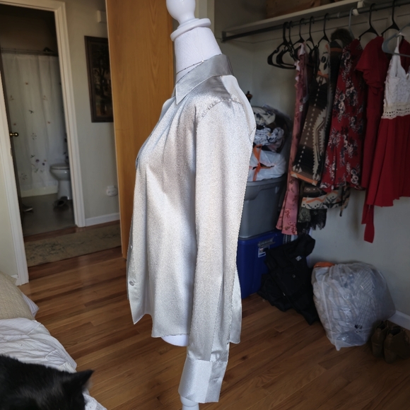 Silver Satin Button Up - Picture 4 of 7